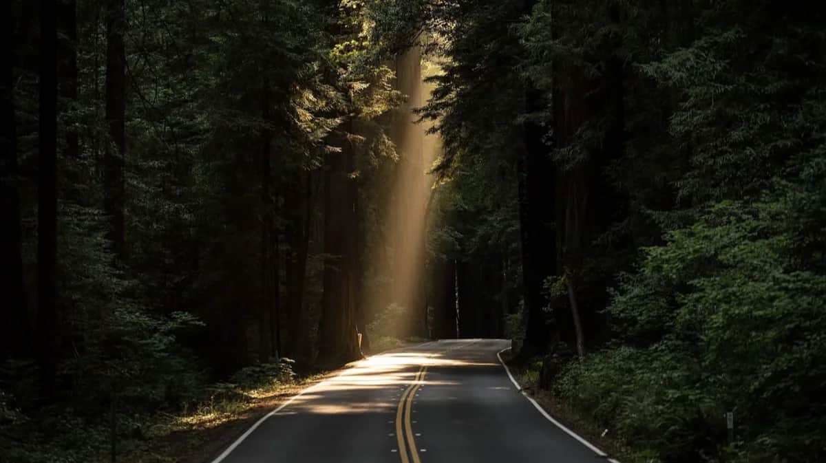 Фото: John Towner / Unsplash
