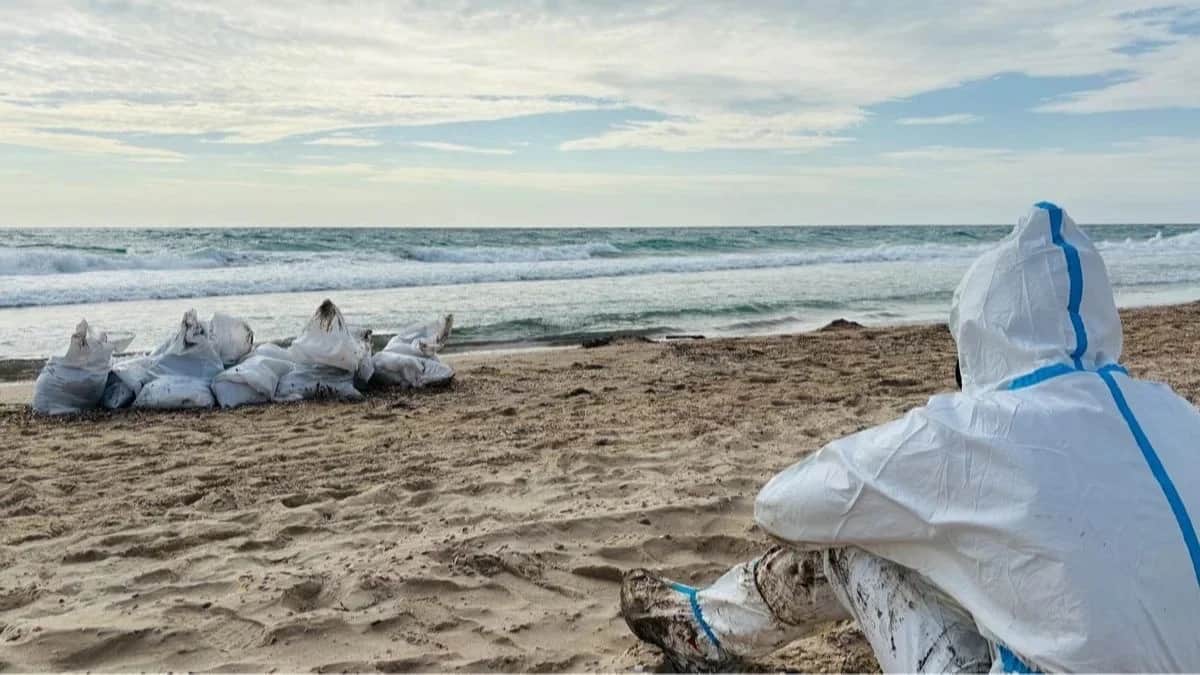 Volunteers on a beach in the suburbs of Anapa. Photo provided by volunteers.