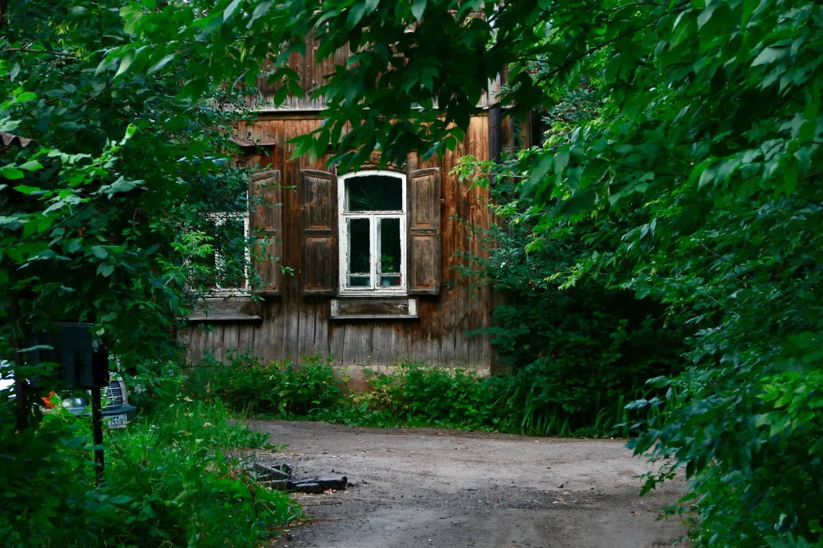 Фото: Полина Королева / unsplash.com