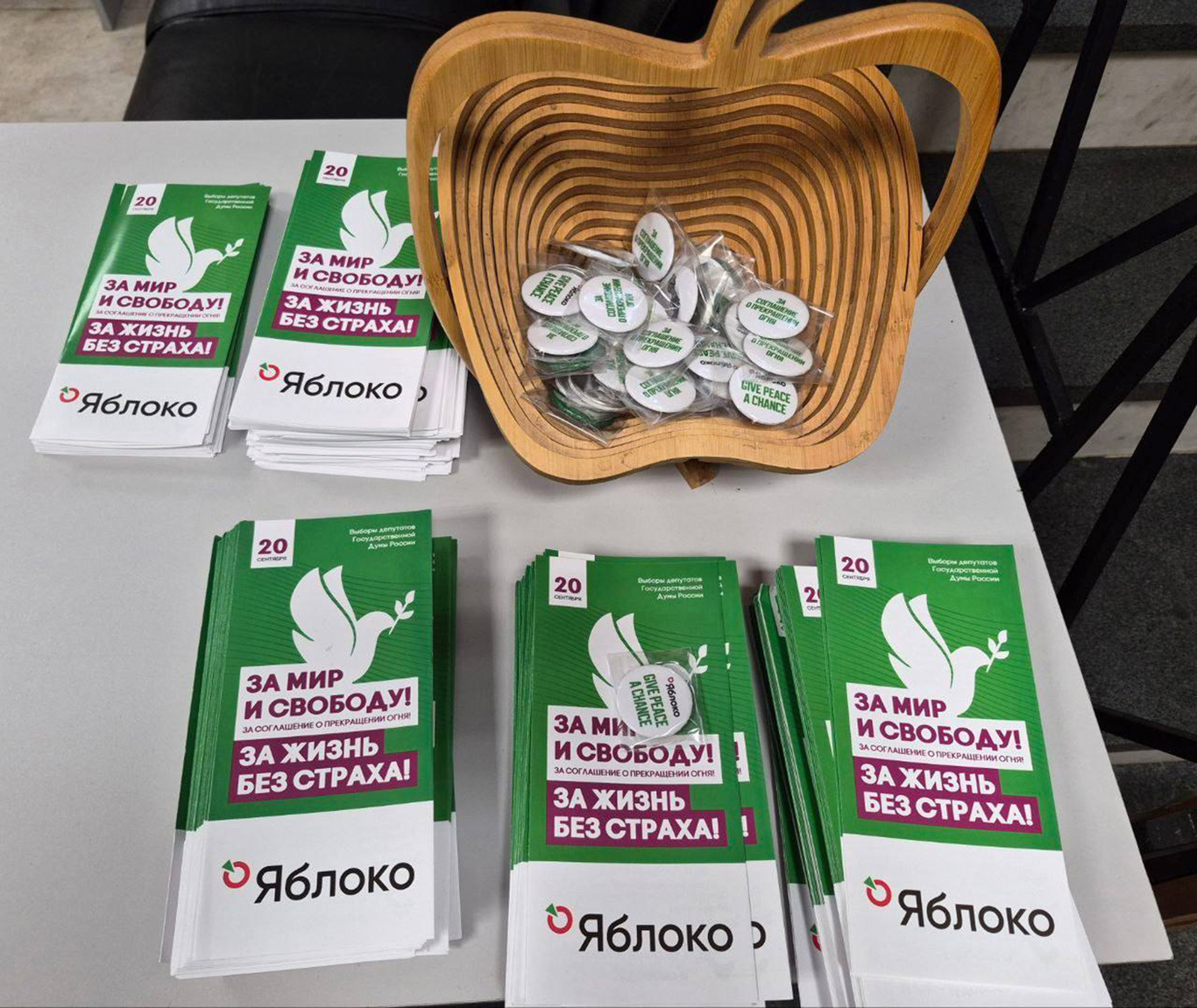 Агитационный материал партии «Яблоко». Фото: Telegram / Николай Рыбаков