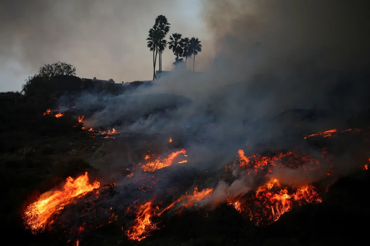 Дым поднимается над Пасифик Палисейдс, Калифорния, 7 января 2025 года. Фото: Daniel Cole / Reuters / Scanpix / LETA