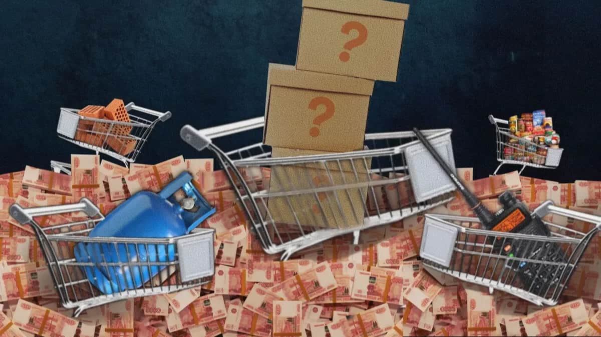Illustration: Anastasia Krzysztof, for Novaya Gazeta Europe