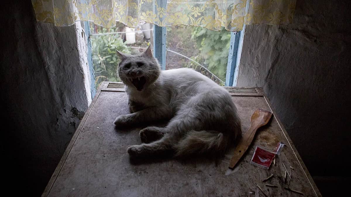 Фото: Дмитрий Цыганов