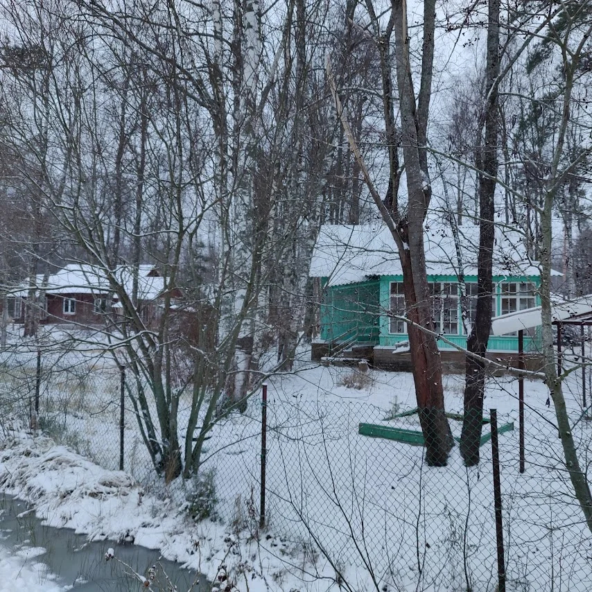 Дачи, которые арендовала Татьяна Мейксина. Фото: Центр «Досье»