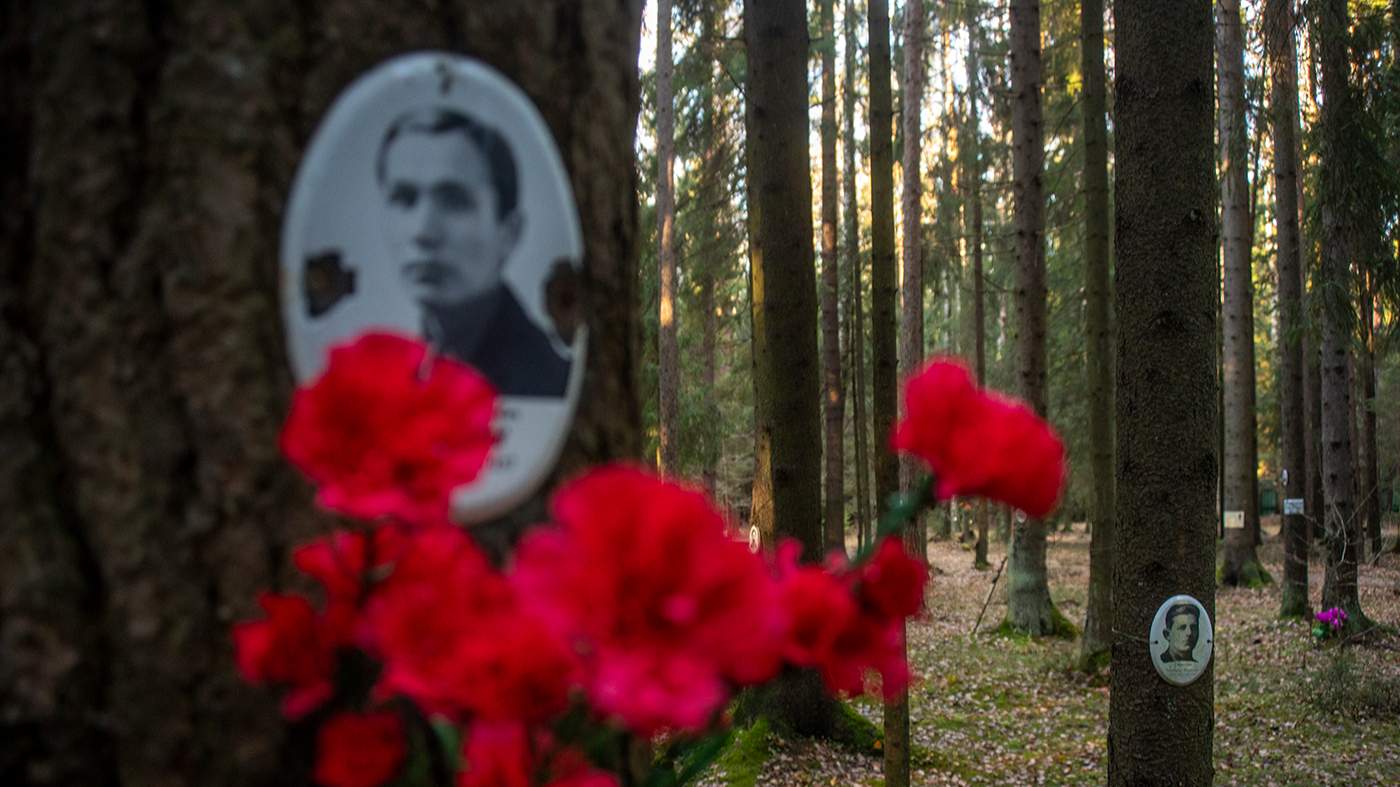 Изображение материала