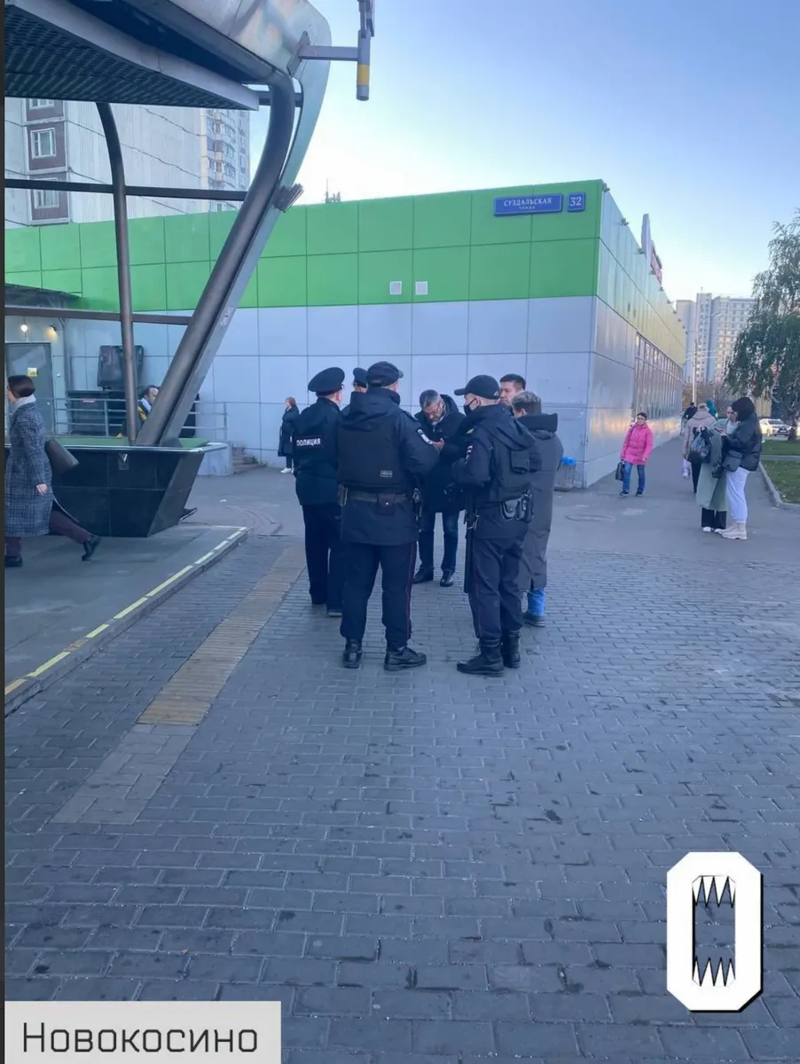 Фото: «Осторожно, новости» 