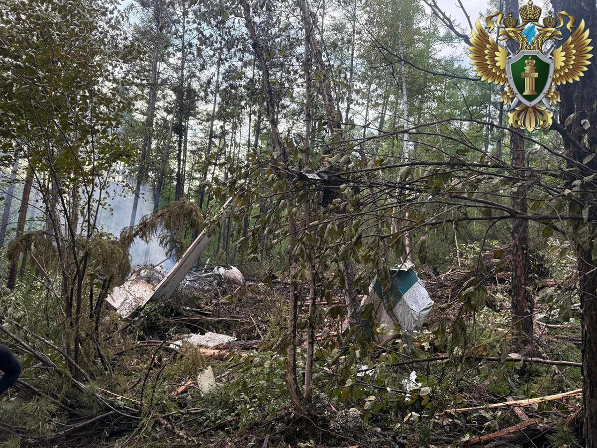 Место крушения Ан-24 в Приамурье. Фото: Telegram / 112