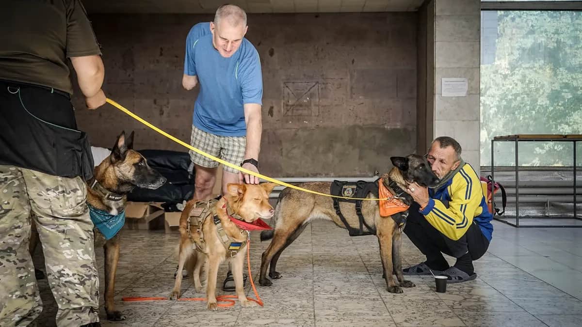Фото: Иван Черничкин / Заборона