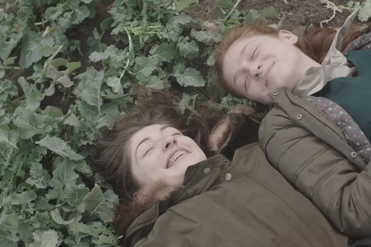 “The Cage is Looking for a Bird”. Photo: screenshot from the film
