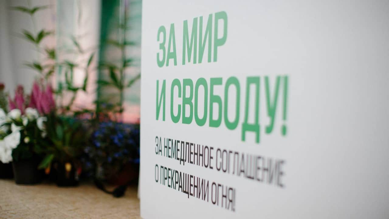 Фото: Яблоко Подмосковье / Telegram