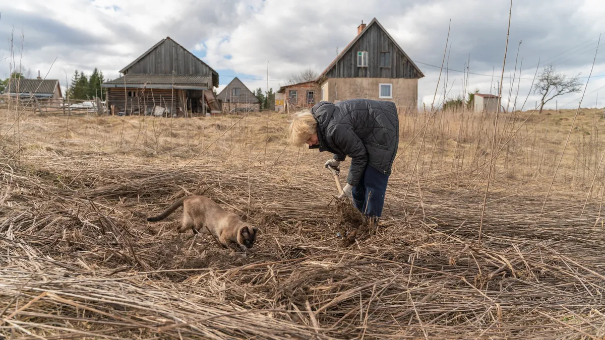Фото: Getty Images