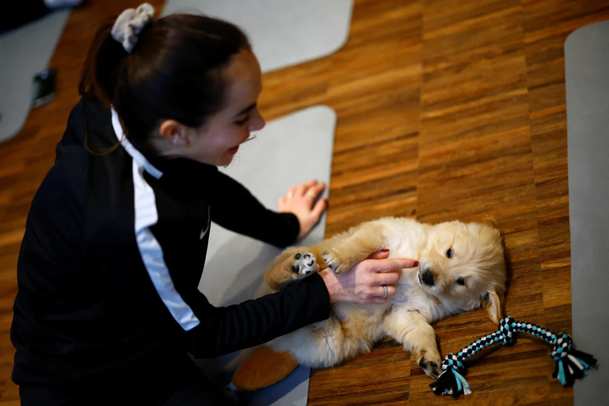 Фото: Sarah Meyssonnier / REUTERS / Scanpix