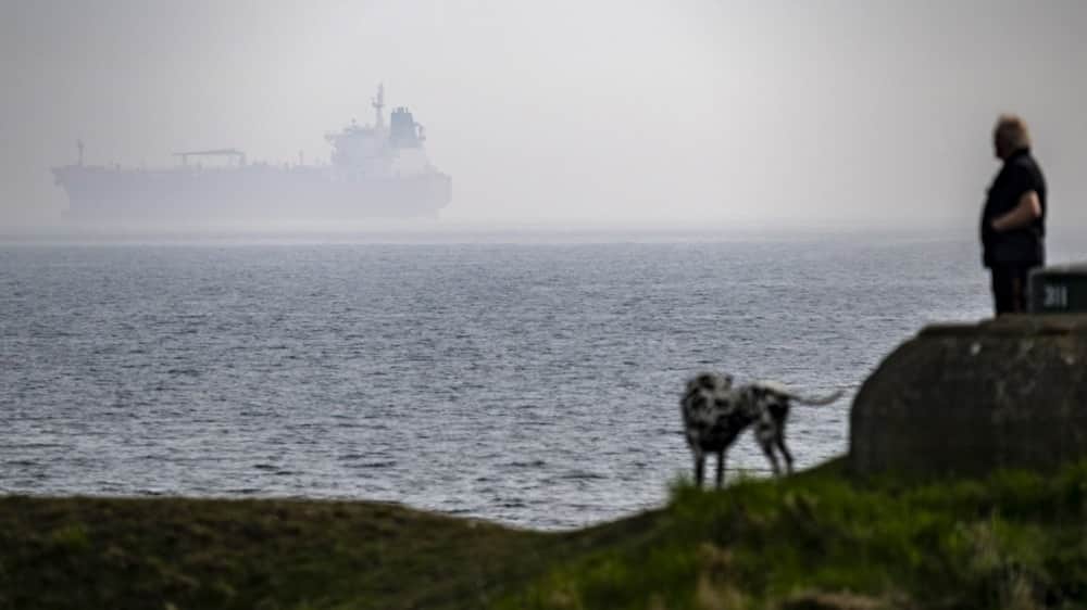 Фото: Johan Nilsson / EPA