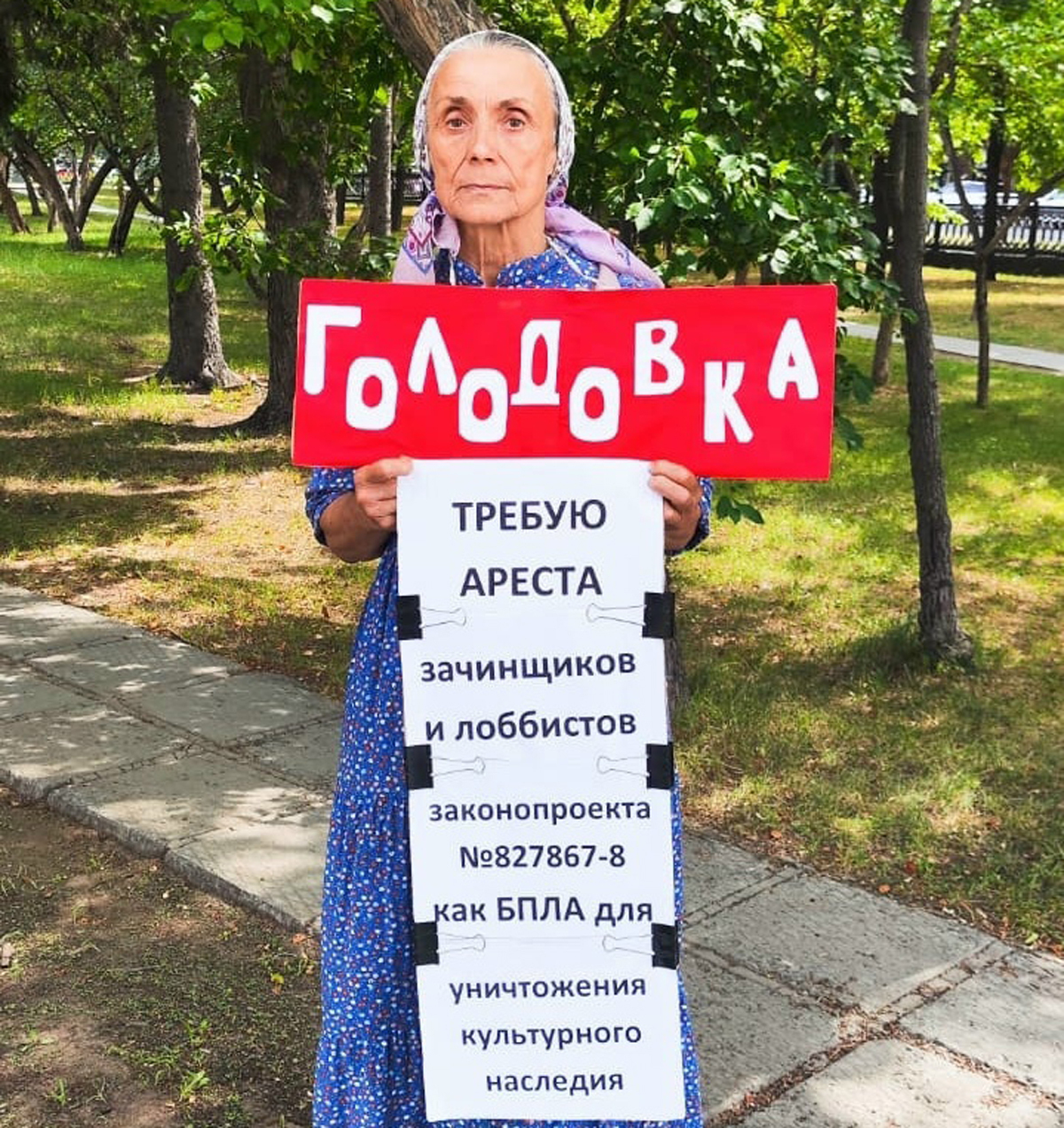 Людмила Матросова на пикете против законопроекта. Фото: Андрей Шевченко / <a href="https://vk.ru/id769425748?w=wall769425748_196&amp;z=photo165607499_457243012%2Fwall165607499_8538" target="_blank">VK</a>