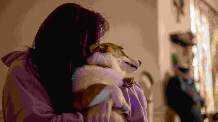 Изображение материала