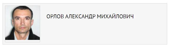 Скриншот: база розыска МВД