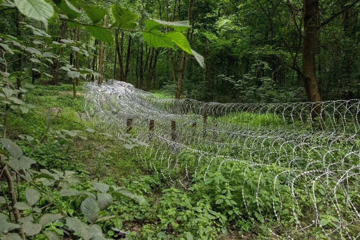 Barbed wire on the front line in the Sumy region, June 2025. Photo: AFU General Staff