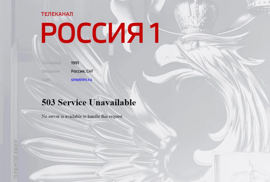 Screenshot: Novaya Gazeta Europe