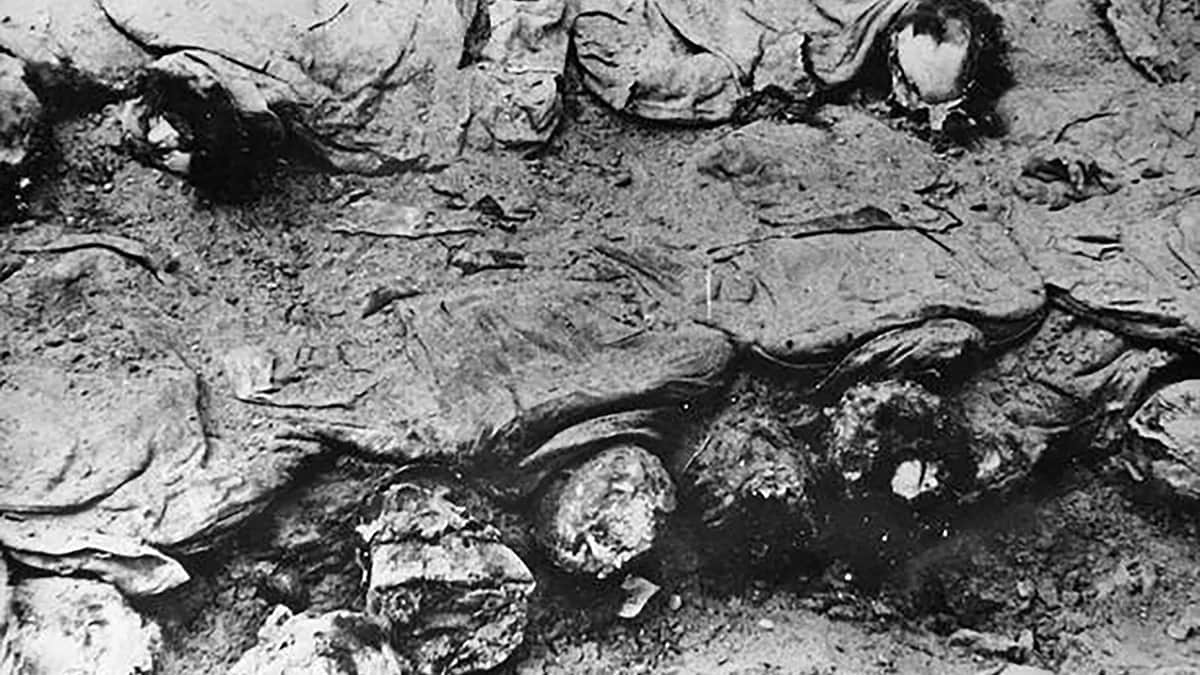 Эксгумация катынской могилы. Фото: общественное достояние / Wikipedia