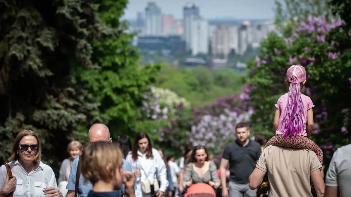 Парк цветущей сирени в Киеве, 14 мая 2023 года. Фото: Oleksii Chumachenko/Getty Images