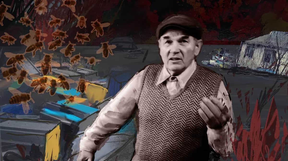 Иллюстрация: Алиса Красникова / «Новая газета Европа»