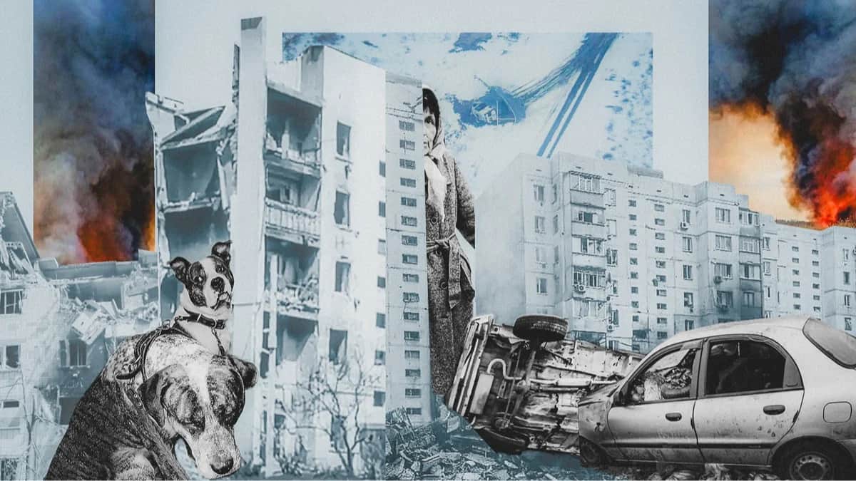 Коллаж: «Новая Газета Европа»