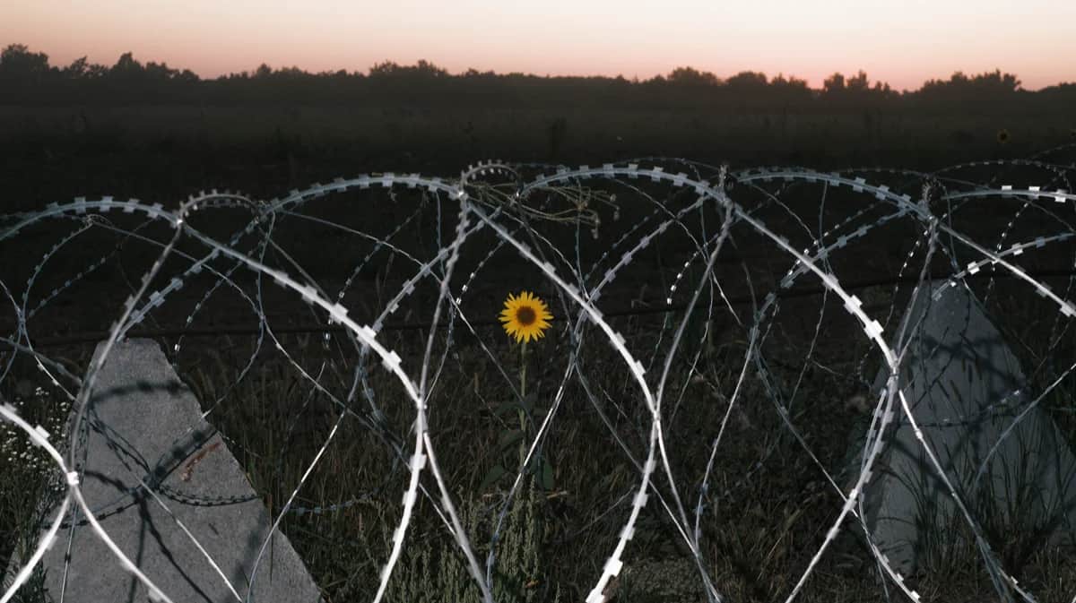 Фортификационные сооружения, установленные недалеко от украинско-российской границы. Фото: Георгий Иванченко / EPA-EFE