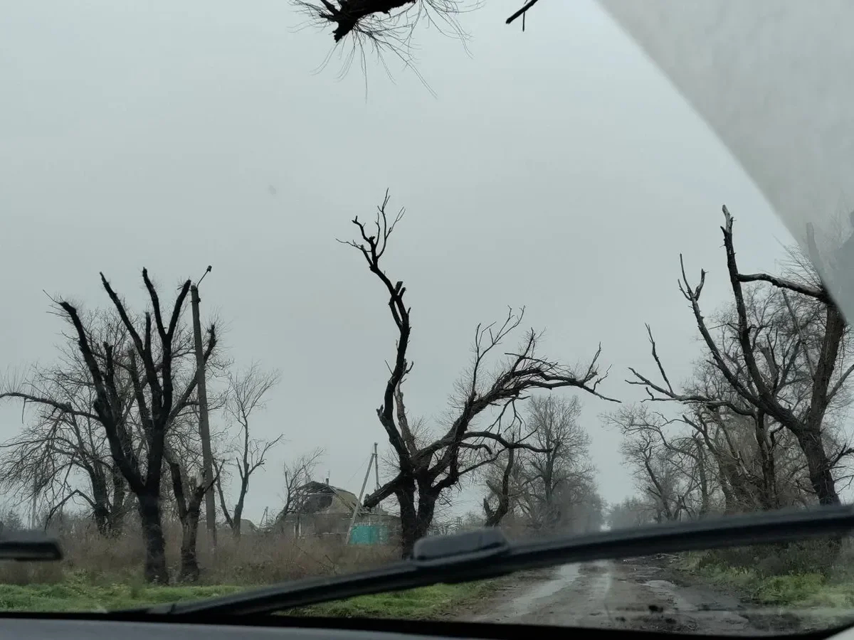 The Kherson region. Photo: Lidia Mikhalchenko, exclusively for Novaya Gazeta Europe
