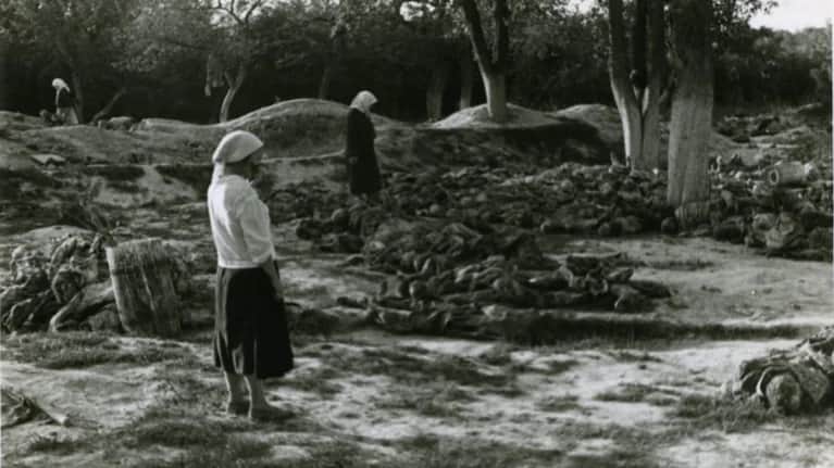 Во время эксгумации тел в Виннице, 1943 год. Фото: <a title="https://www.vin.gov.ua/departament-informatsiinoi-diialnosti-ta-komunikatsii-z-hromadskistiu/46958-vinnytska-trahediia-1937-1938-rokiv-ne-maiemo-prava-zabuvaty-2#:~:text=%D0%9C%D0%B0%D1%81%D0%BE%D0%B2%D0%B5%20%D0%B7%D0%BD%D0%B8%D1%89%D0%B5%D0%BD%D0%BD%D1%8F%20%D0%BC%D0%B8%D1%80%D0%BD%D0%BE%D0%B3%D0%BE%20%D0%BD%D0%B0%D1%81%D0%B5%D0%BB%D0%B5%D0%BD%D0%BD%D1%8F%20%D0%92%D1%96%D0%BD%D0%BD%D0%B8%D1%86%D1%8C%D0%BA%D0%B8%D0%BC,%D0%B7%D0%B0%20%D1%96%D0%BD%D1%88%D0%B8%D0%BC%D0%B8%20%D0%B4%D0%B0%D0%BD%D0%B8%D0%BC%D0%B8%20%E2%80%93%2016%20806." href="https://www.vin.gov.ua/departament-informatsiinoi-diialnosti-ta-komunikatsii-z-hromadskistiu/46958-vinnytska-trahediia-1937-1938-rokiv-ne-maiemo-prava-zabuvaty-2#:~:text=%D0%9C%D0%B0%D1%81%D0%BE%D0%B2%D0%B5%20%D0%B7%D0%BD%D0%B8%D1%89%D0%B5%D0%BD%D0%BD%D1%8F%20%D0%BC%D0%B8%D1%80%D0%BD%D0%BE%D0%B3%D0%BE%20%D0%BD%D0%B0%D1%81%D0%B5%D0%BB%D0%B5%D0%BD%D0%BD%D1%8F%20%D0%92%D1%96%D0%BD%D0%BD%D0%B8%D1%86%D1%8C%D0%BA%D0%B8%D0%BC,%D0%B7%D0%B0%20%D1%96%D0%BD%D1%88%D0%B8%D0%BC%D0%B8%20%D0%B4%D0%B0%D0%BD%D0%B8%D0%BC%D0%B8%20%E2%80%93%2016%20806." rel="noopener noreferrer">www.vin.gov.ua</a>