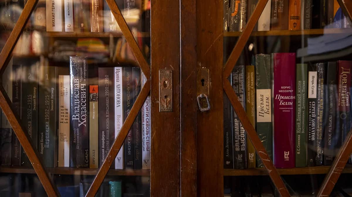 Книги в стеллаже книжного магазина. Фото: Дмитрий Цыганов