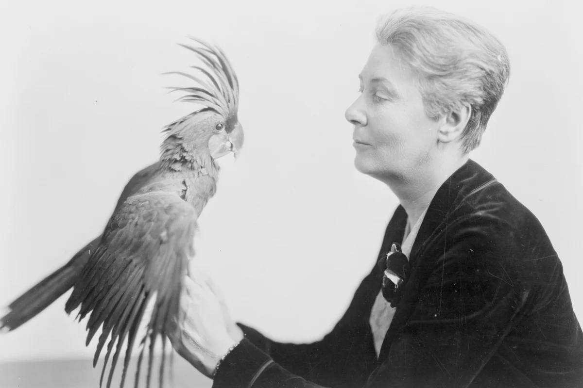 Эллен Ла Мотт с её редким чёрным какаду из Новой Гвинеи. 1928 год. Фото: Underwood &amp; Underwood / Library of Congress / Wikimedia