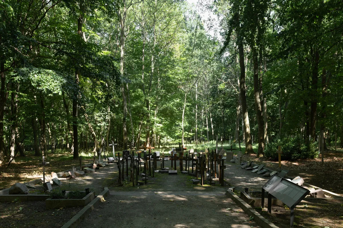 cbe2960c54444ae294abe04420cad4a1.webp