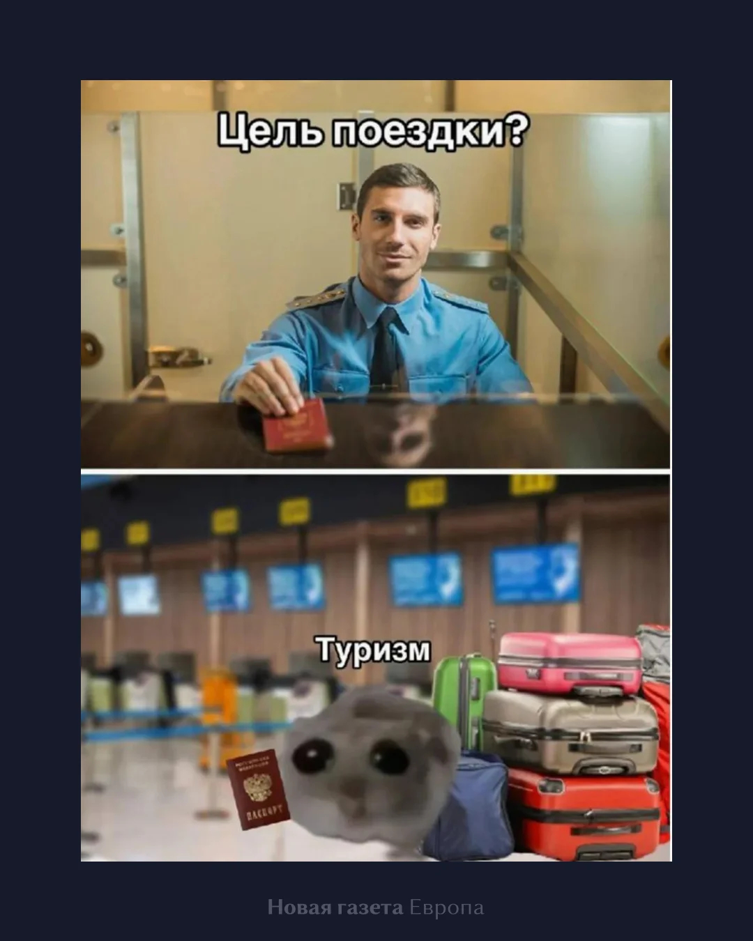 Фото: соцсети