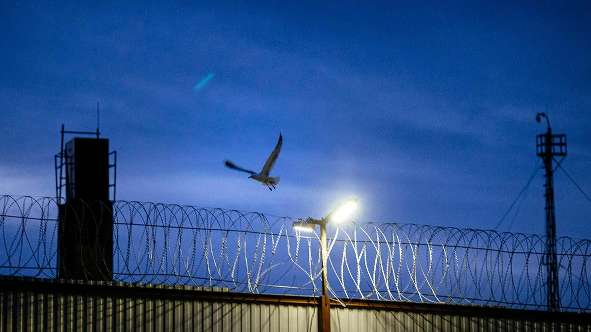 Barbed wire fence at penal colony IK-3, where Alexey Navalny served some of his sentence, Vladimir, Russia, 19 April 2021. Photo: Dimitar Dilkoff / AFP / Scanpix