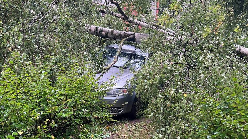 Последствия шторма в Латвии. Фото: «Волна»