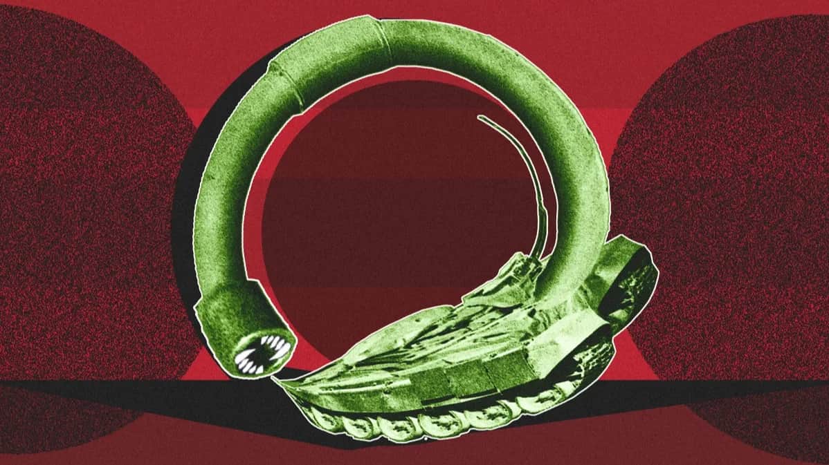 Illustration: Novaya Gazeta Europe