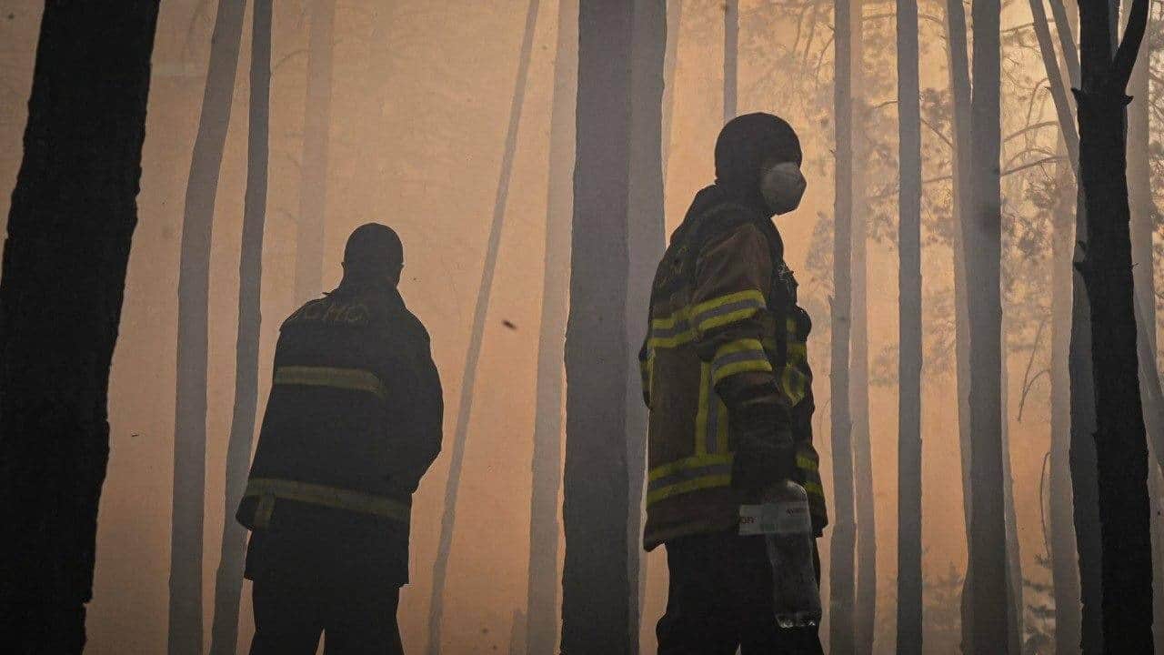 Лесной пожар в Чернобыльской зоне. Фото: ГСЧС Украины