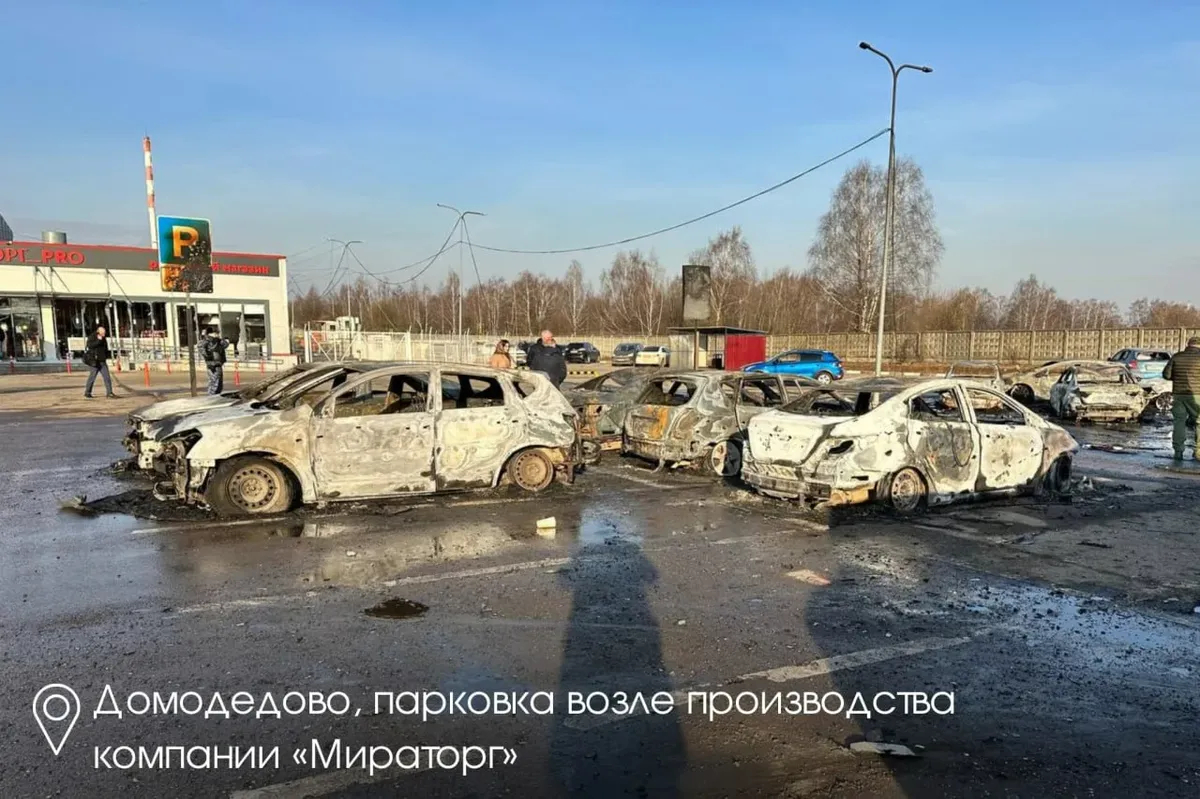 Фото: Воробьёв LIVE / Telegram