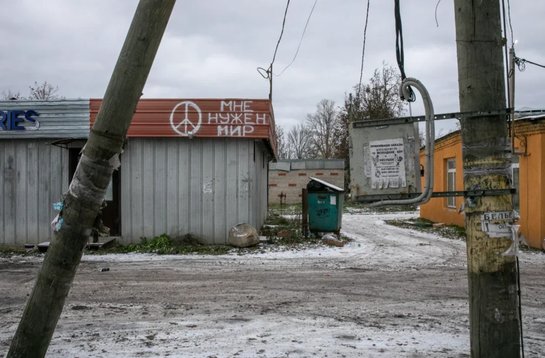 Dmitry Skurikhin’s shop. Photo: Dmitry Tsyganov for Novaya Gazeta Baltic