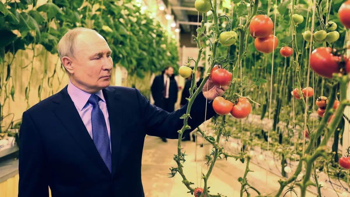 Vladimir Putin inspects tomatoes in Russia’s far eastern Chukotka region, 10 January. Photo: EPA-EFE / GAVRIIL GRIGOROV/ SPUTNIK / KREMLIN / POOL