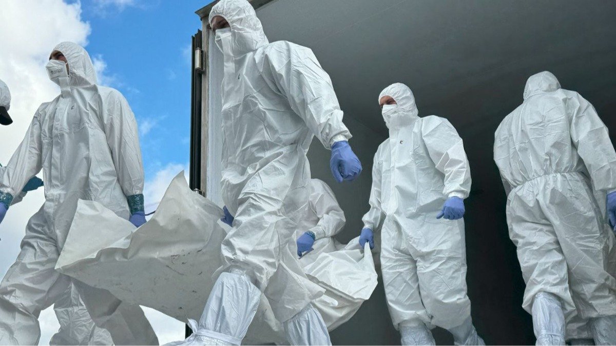 «Да, мы не такие — мы страшнее»