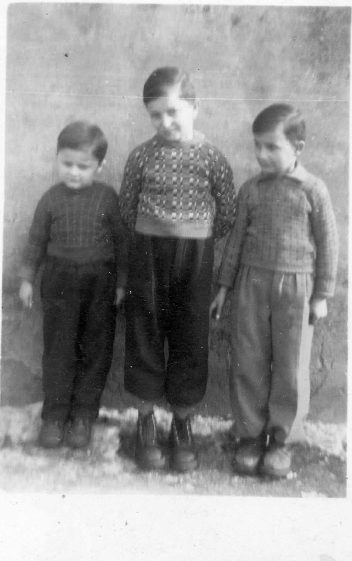 Отец Владлена с братьями в детстве. Фото: из архива Владлена Ноль