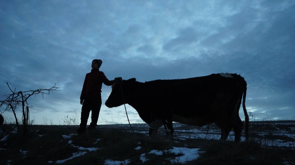 «Идея пришла продюсеру во время ночного дежурства в теробороне»