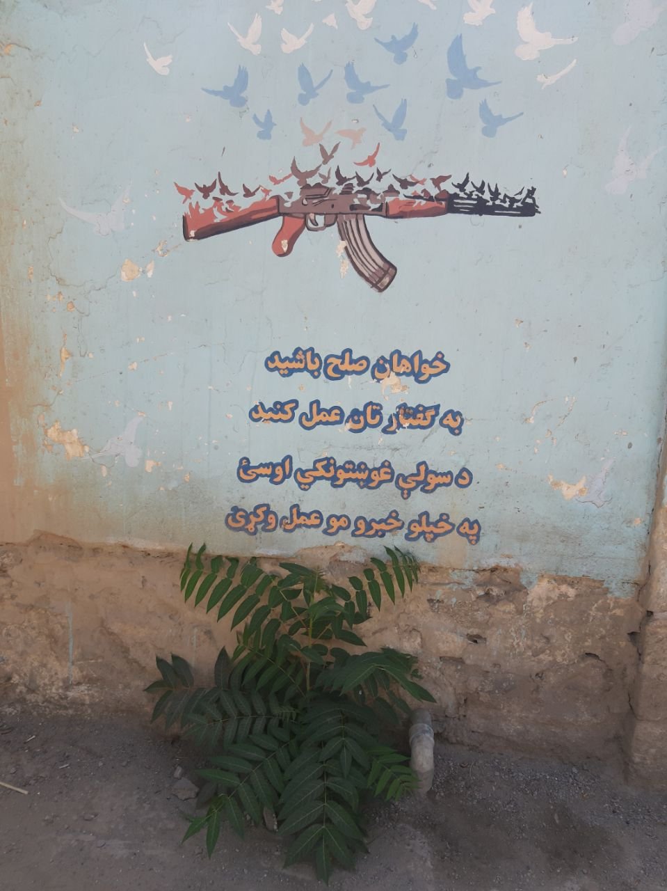 «Если хотите мира, подтверждайте свои слова поступками». Фото: Руслан Сулейманов, специально для «Новой газеты Европа»