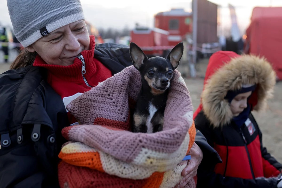 A woman holds a dog as she watches refugees from Ukraine crossing the Ukrainian-Slovak border, Slovakia, 3 March 2022. Photo: Lukasz Glowala / Reuters / Scanpix / LETA